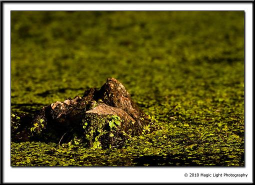 Click image for larger version.&nbsp;

Name:	_MG_6680.jpg&nbsp;
Views:	63&nbsp;
Size:	253.3 KB&nbsp;
ID:	79774