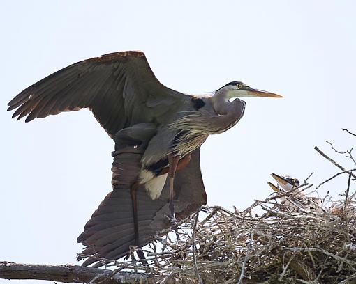 Eager Babies-eager-babies-1-1-.jpg