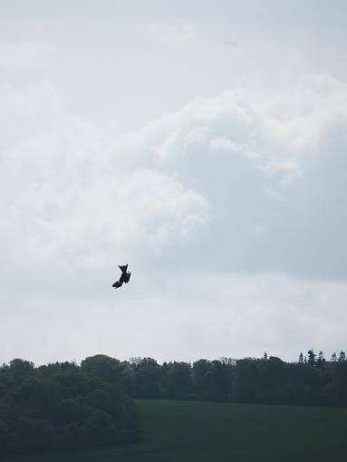 another red kite failure-_1040575.jpg