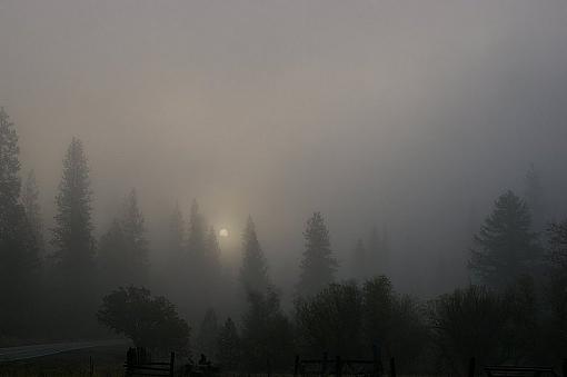 Misty Morning-imgp13330%5B800x532%5D.jpg