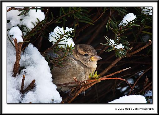 Shelter from the Storm-_mg_1104.jpg