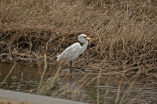 I'm filling my tummy-_dsc2638.jpg