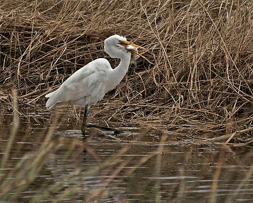 I'm filling my tummy-_dsc2638.jpg