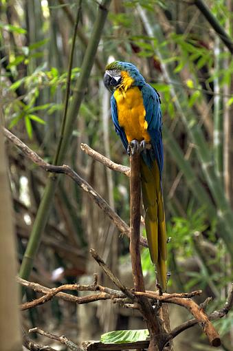 A few from today's outing, Jeff-_dsc3080_2.jpg