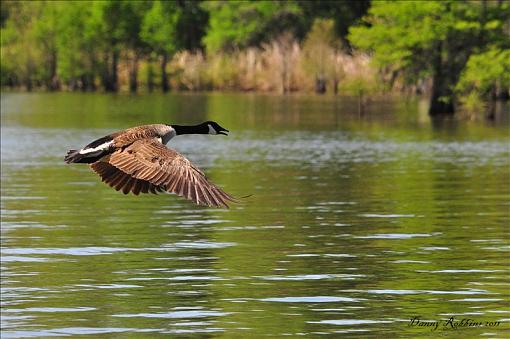 Day on the lake-lake-m-41711-101.jpg