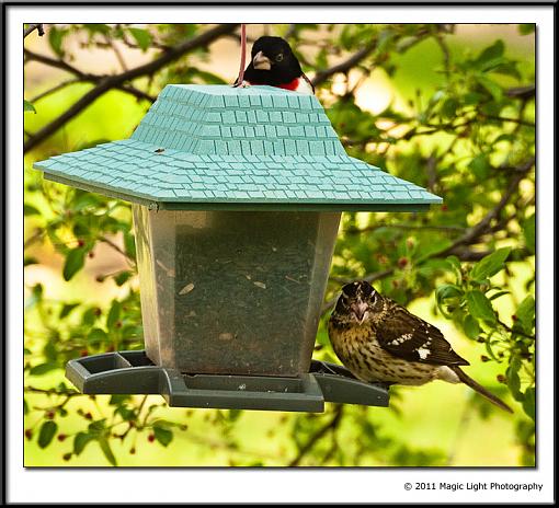 Table for Two-_mg_2466.jpg