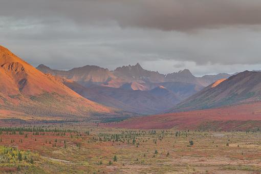 Epic Sunset, Epic Screw-up-denali-sunset_.jpg