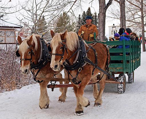 Sunday After noon Hay Ride-hayride.jpg