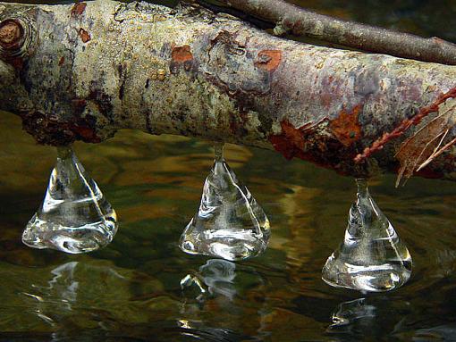 Icicle Bells-kitsice05.jpg