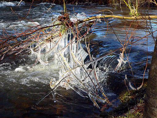 Icicle Bells-kitsice07.jpg