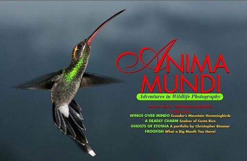 ANIMA MUNDI Issue 6, April 2012-coveranimamundi6.jpg