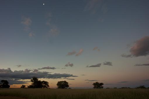 In the Kgalagadi-kalahari-evening-_dsc8044r.jpg