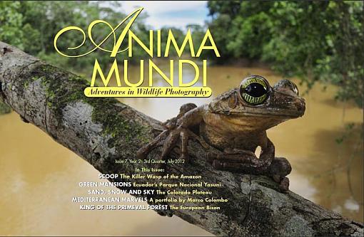 ANIMA MUNDI issue 7 now out-223867_329948000416417_793824748_n.jpg