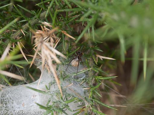 from the valley walk-_2305436.jpg