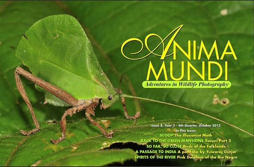 ANIMA MUNDI issue 8 now out-coveranimamundi8.jpg