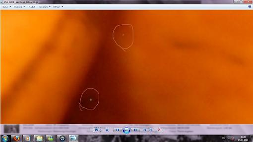 who  knows why is this  problem in my camera  pictures. I have the camera nikon d200-problemi.jpg