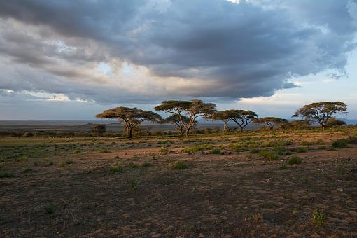 24-85VR vs 24-120VR and D800 vs D7100-tanzania-d7100-249.jpg