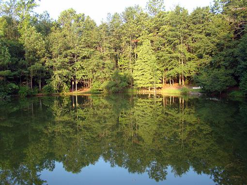 Anyone got suggestions for a warm long weekend getaway?-cypress-reflect.jpg