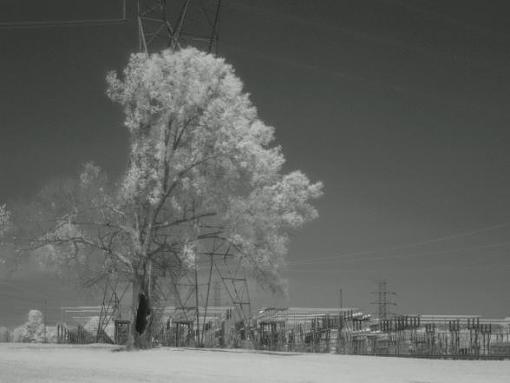 Getting aquainted with my new IR filter-p4222955a.jpg