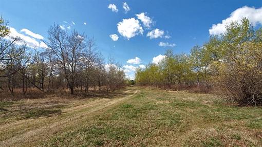 First 7-14mm test shots-front-yard-sunny-7-14-medium-.jpg