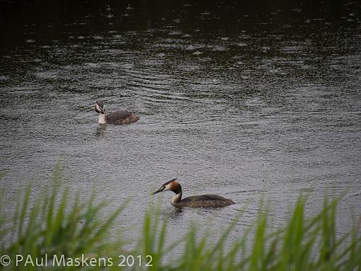 wet E-M5-_6272834.jpg