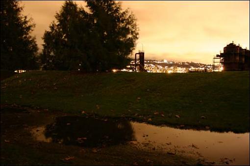 back with a few shots!-night-grass.jpg
