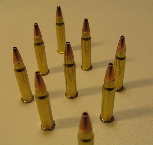 Ammunition-ammo_1.jpg