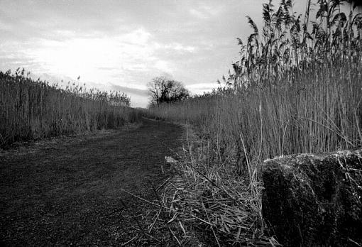 Follow the Grey Gravel Road . . . (B&amp;W)-lndscp1203-3404xbw1.jpg