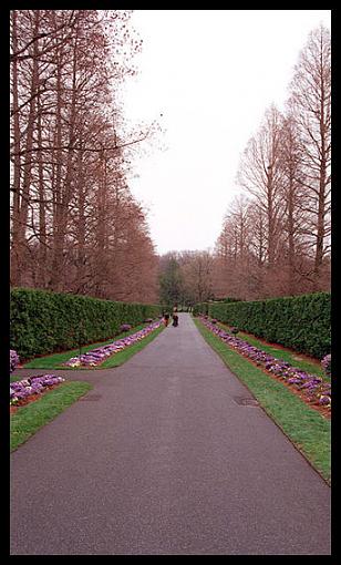 A Walk in the Park-walkinthepark.jpg