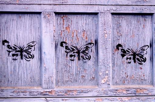 Graffiti Series-butterflies.jpg