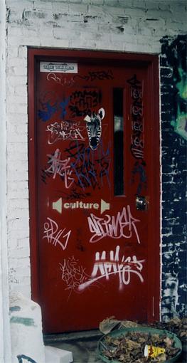 Graffiti Series-door.jpg