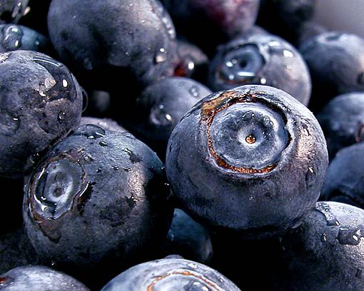 Which macro would you prefer?-blueberries2.jpg