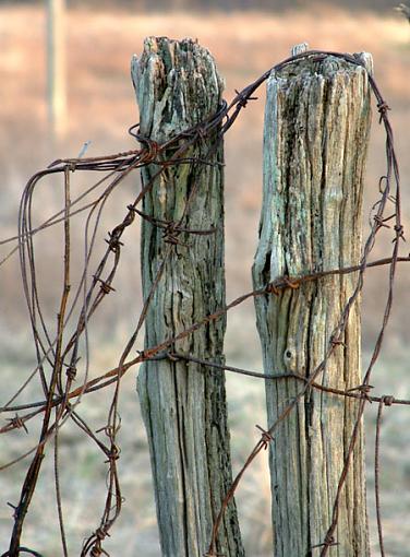 Barb Wire-barb-wire-post.jpg