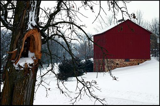 Snow and barns-2632-barn-tree.jpg