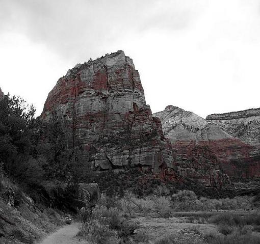 &quot;ANGELS LANDING&quot;-angels-landing-cropped.jpg