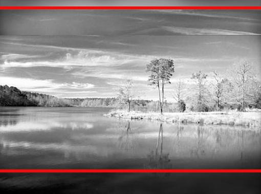 Pond Landscape-lake-w-crop.jpg
