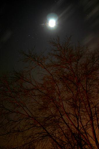 Critiques and Suggestions Please, Moon and Tree-img_4022-copy.jpg