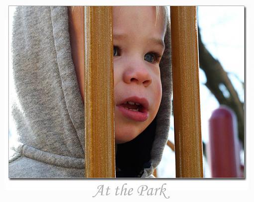 At the Park-zachary-bars-copy.jpg