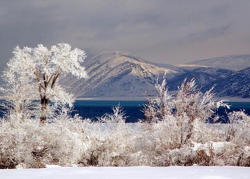 Frosty Morn at Bear Lake, Utah-dsc06742a-bear-lake-web.jpg