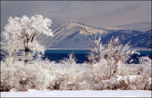 Frosty Morn at Bear Lake, Utah-dsc06742a-bear-lake-web-border.jpg