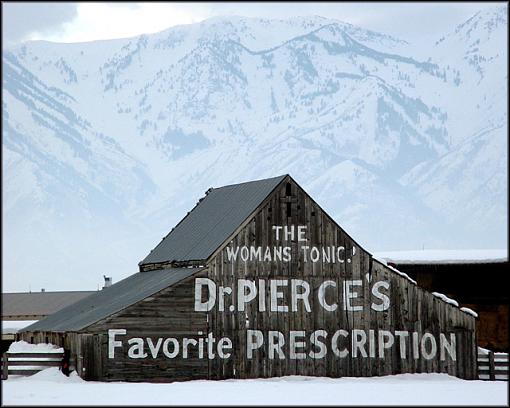 &quot;The Womans Tonic&quot; An old barn add-dsc06752a-barn-dr-pierces-cropped-web.jpg