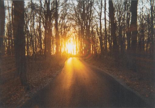 Sunset Pics...-sunset-path.jpg