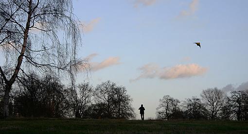 Kite Flyer in Hyde Park-181_8121_jfrxcrop.jpg