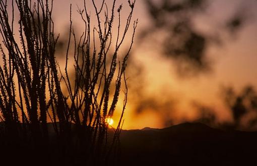 Desert sunset-desertsunset2.jpg