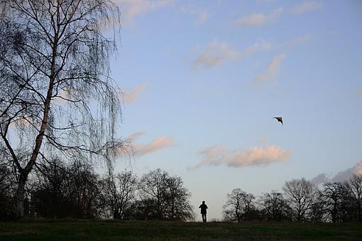 Kite Flyer in Hyde Park-181_8121_jfr.jpg