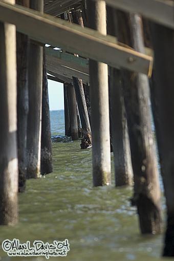 malibu pier-crw_7589_web.jpg