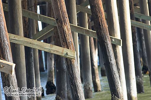 malibu pier-crw_7601_web.jpg