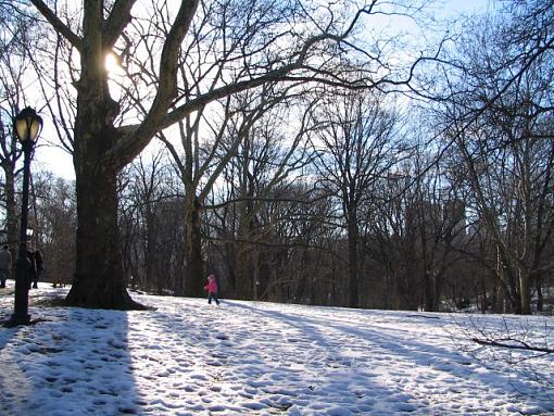 Central Park in Winter-img_0606.jpg