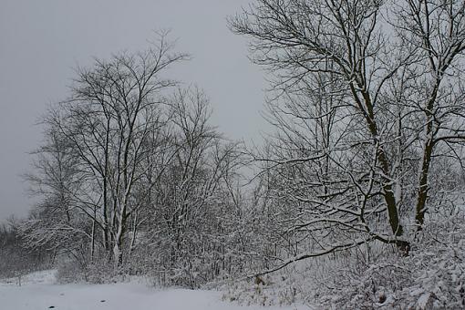 Another one from the snowstorm-184_8490.jpg