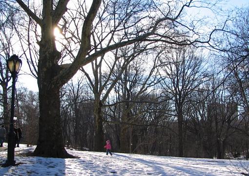 Central Park in Winter-crop.jpg